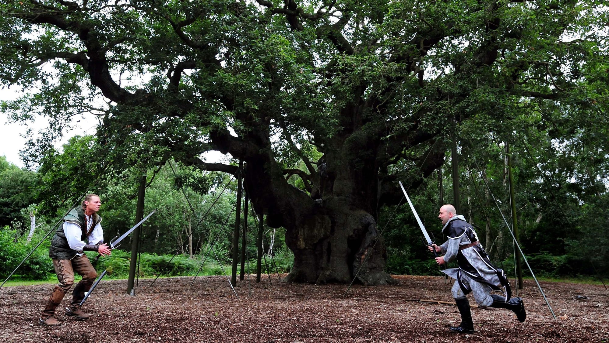 Major Oak in Sherwood Forest Declared Dead