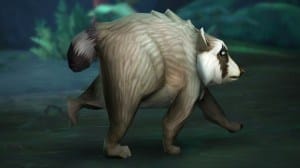 Jimothy, The Viral Raccoon, Becomes Earnable WoW Pet