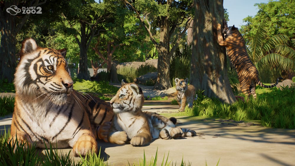 Planet Zoo 2 to Release This Year with New Flying and Aquatic Animals post image