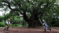 Major Oak in Sherwood Forest Declared Dead