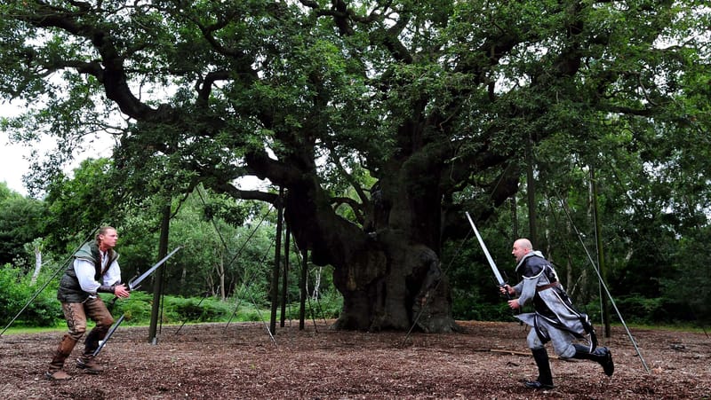 Major Oak in Sherwood Forest Declared Dead
