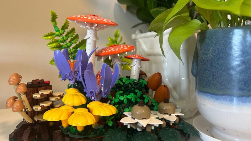 LEGO Woodland Mushrooms: First Fungi-Themed Set in Botanical